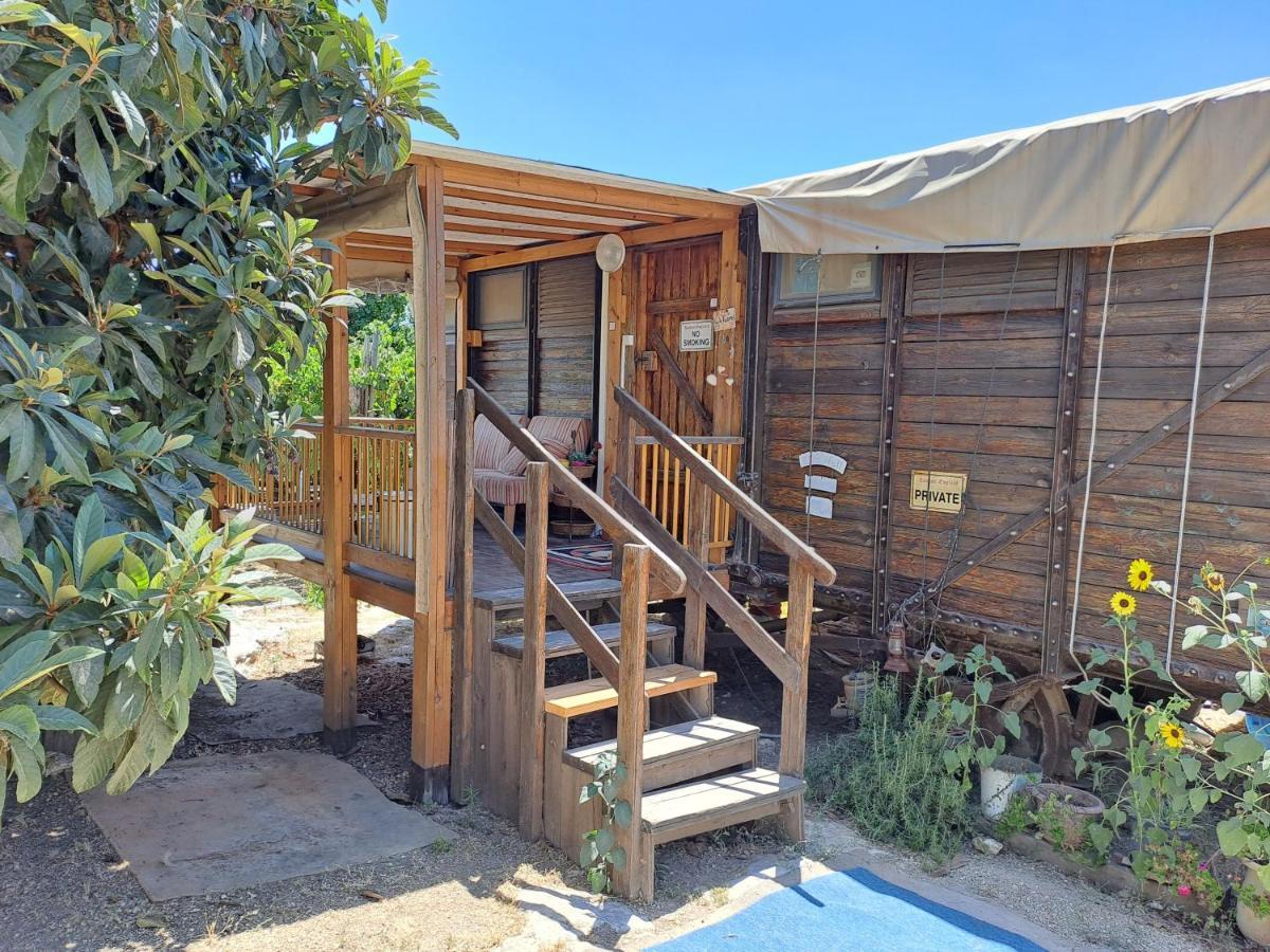 Galilee Bedouin Camplodge Tabash Exterior foto