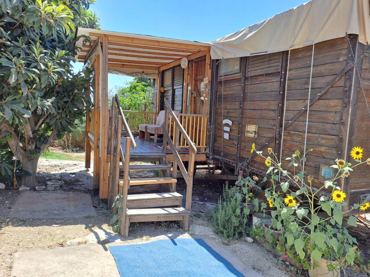 Galilee Bedouin Camplodge Tabash Exterior foto