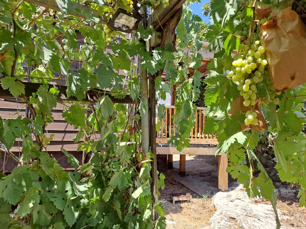 Galilee Bedouin Camplodge Tabash Exterior foto